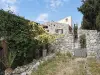 Grand terrain de la vente de notre maison d'hôte - gîte à vendre avec piscine à Perpignan (12).webp